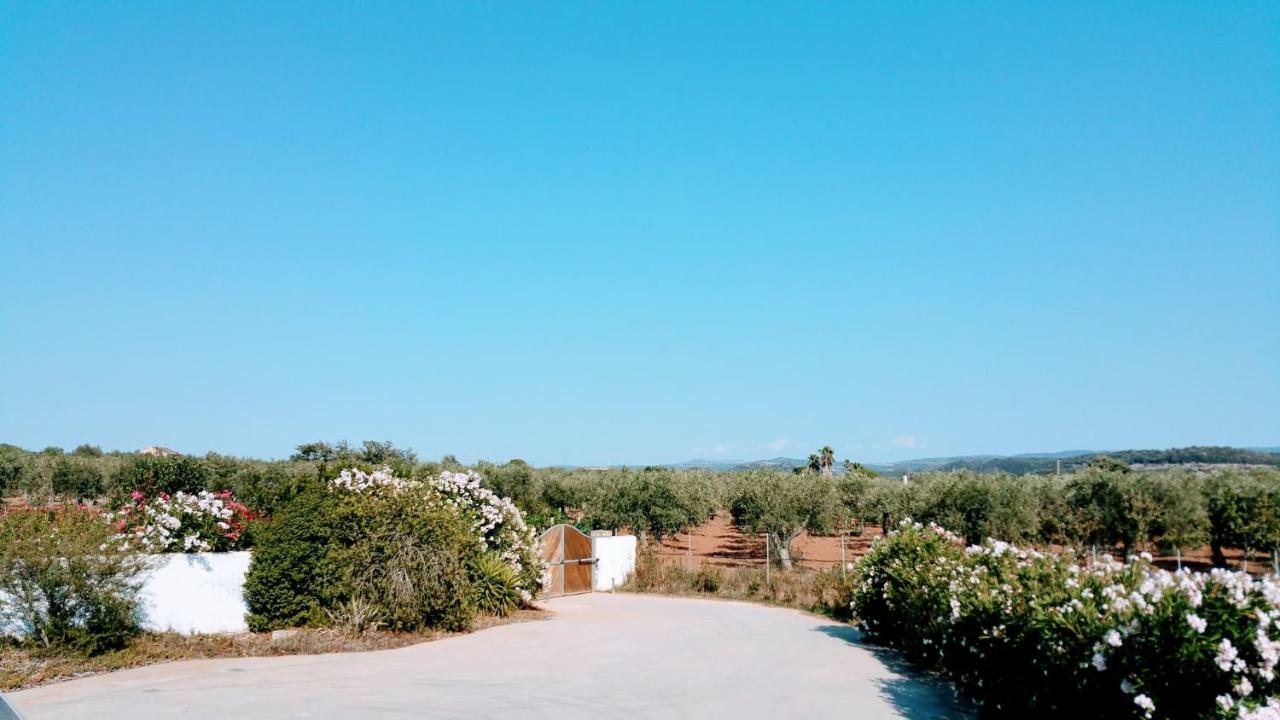 Villa Rafael Con Piscina, Iun P4098 알게로 외부 사진
